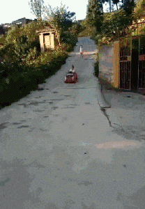 爆好笑的GIF：藏起来，别人就看不到我的尴尬