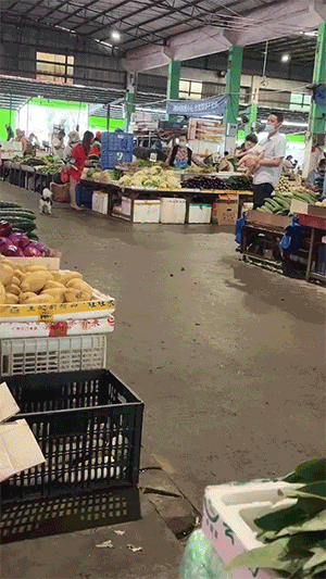 爆好笑的GIF：藏起来，别人就看不到我的尴尬
