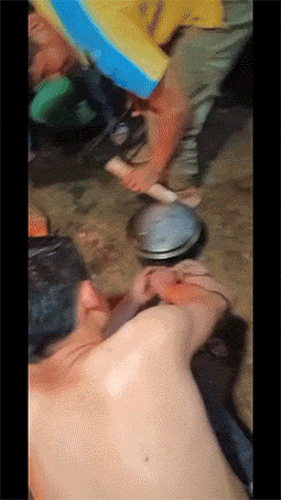 爆好笑的GIF：藏起来，别人就看不到我的尴尬