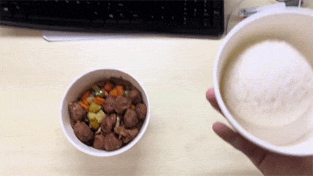 爆好笑的GIF：藏起来，别人就看不到我的尴尬