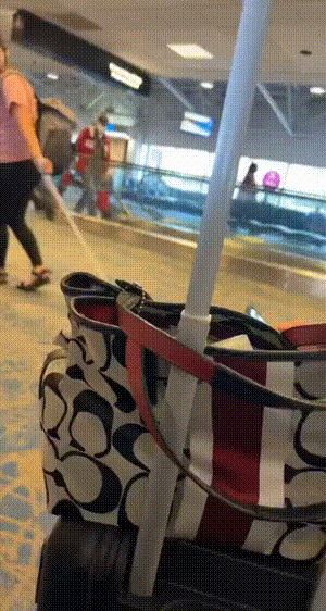 爆好笑的GIF：藏起来，别人就看不到我的尴尬