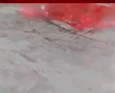 爆好笑的GIF：藏起来，别人就看不到我的尴尬