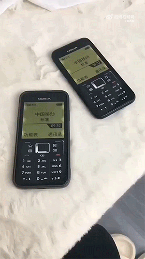 爆好笑的GIF：藏起来，别人就看不到我的尴尬