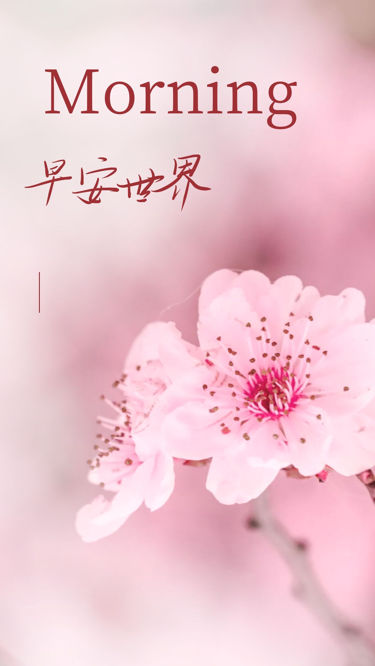 早安心语图片正能量句子，眼中永远有美，心中永远有梦