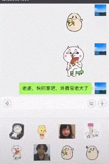 爆笑动图：发财树说，爱情是你发财的绊脚石！
