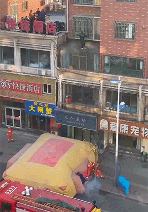 爆笑动图：发财树说，爱情是你发财的绊脚石！