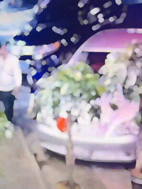 爆笑动图：发财树说，爱情是你发财的绊脚石！