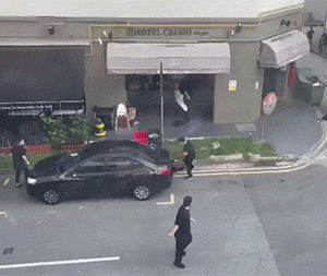 搞笑GIF：跟猴子玩上了！