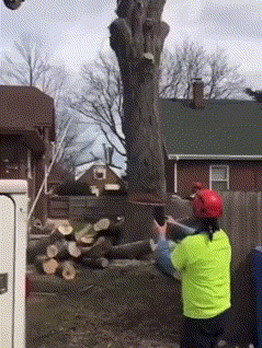 搞笑GIF：跟猴子玩上了！