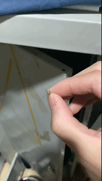 GIF：熊孩子第一次走秀，这个姿势hold住全场啊！