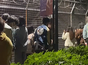 GIF失误集锦：怎么他们越惨，我笑得越灿烂