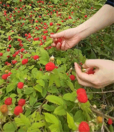 搞笑动图：好艺术的屁股