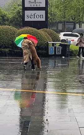 搞笑动图：好艺术的屁股