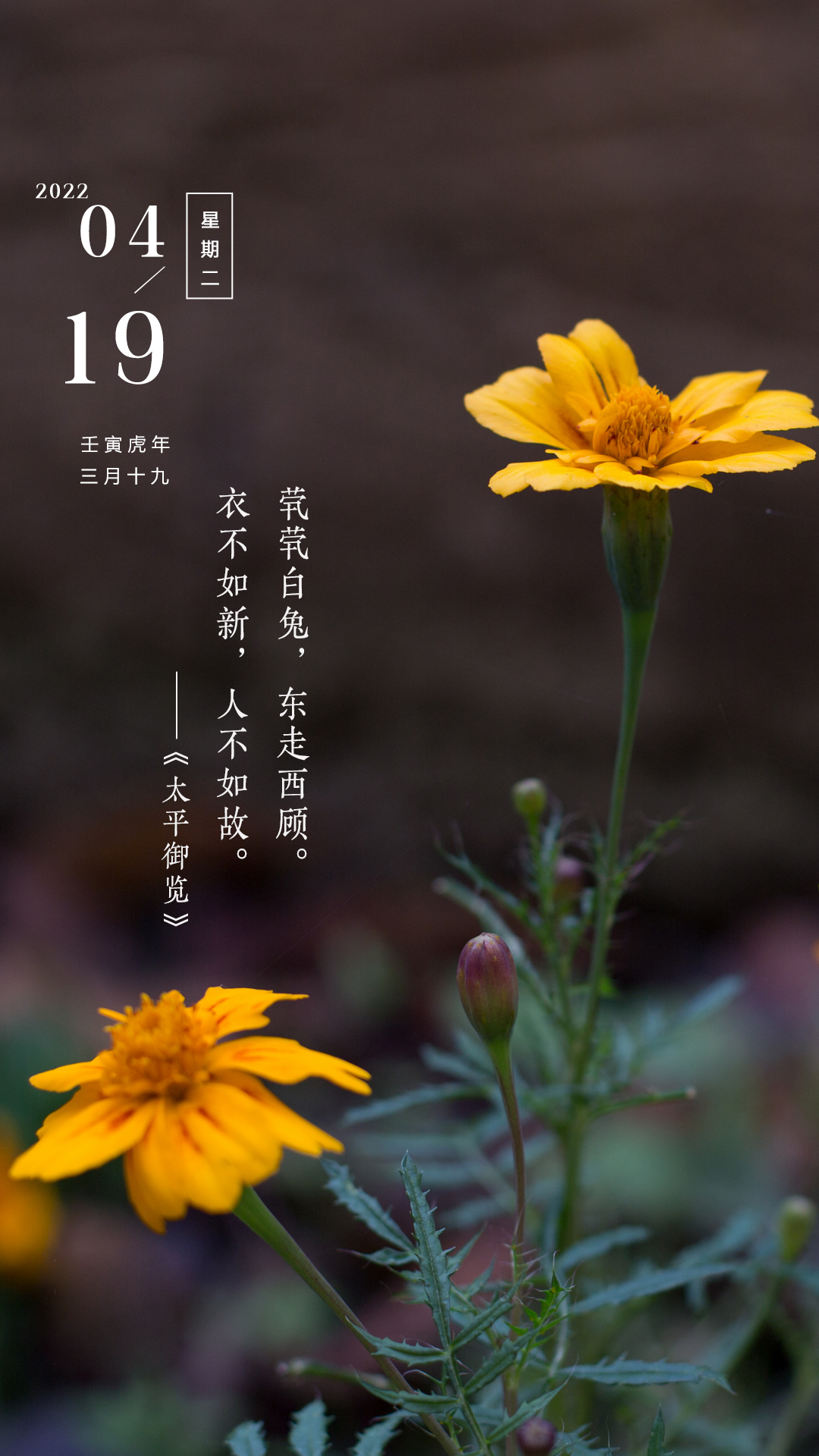 早安心语正能量阳光语录句子，为生活奋斗，为梦想前行！