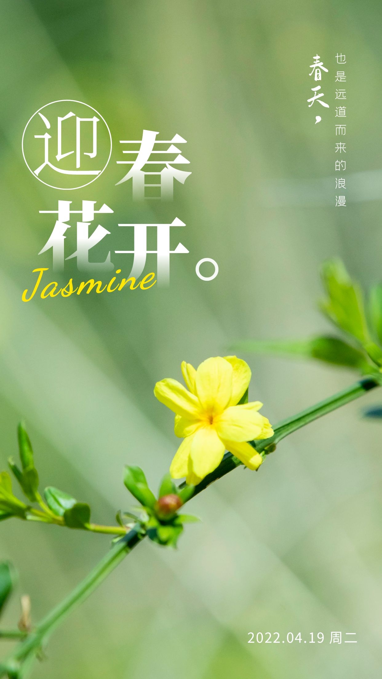 早安心语正能量阳光语录句子，为生活奋斗，为梦想前行！