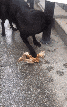 精彩GIF：程序猿的沙雕日常