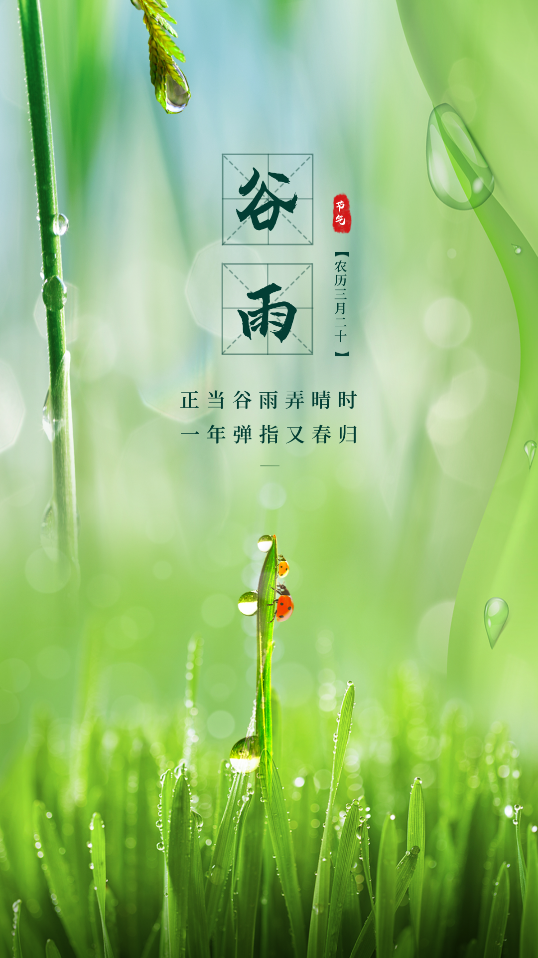 谷雨图片配图高清唯美带字，谷雨朋友圈文案祝福问候语句子