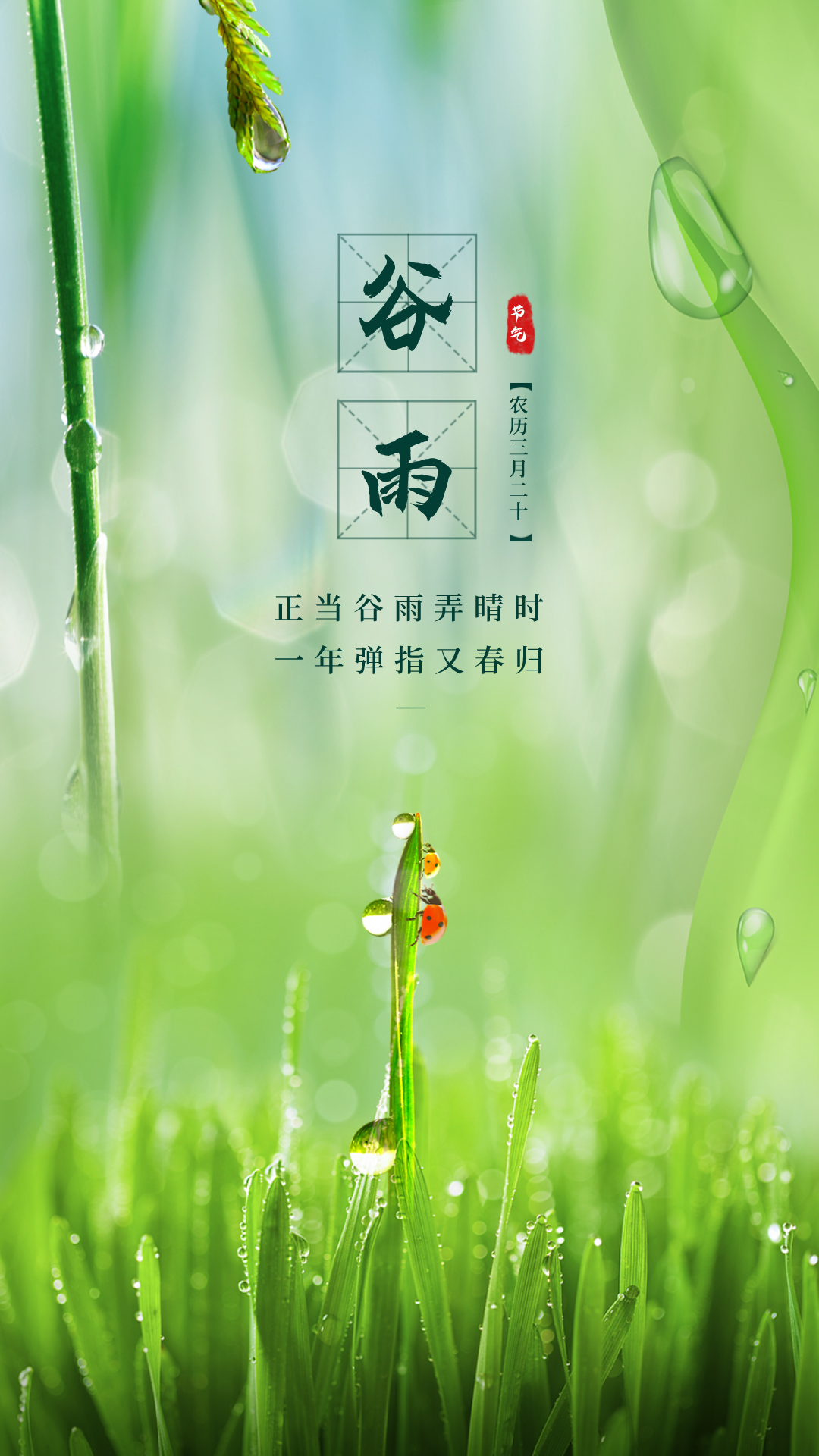 谷雨早安图片图片