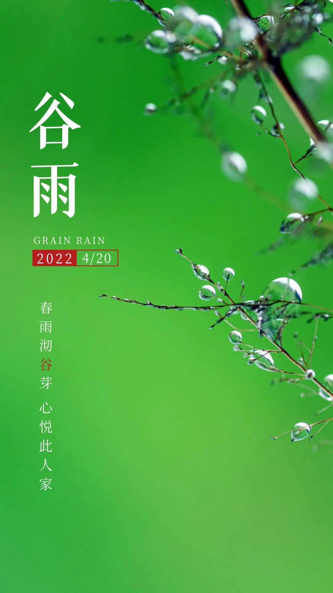 谷雨图片配图高清唯美带字，谷雨朋友圈文案祝福问候语句子
