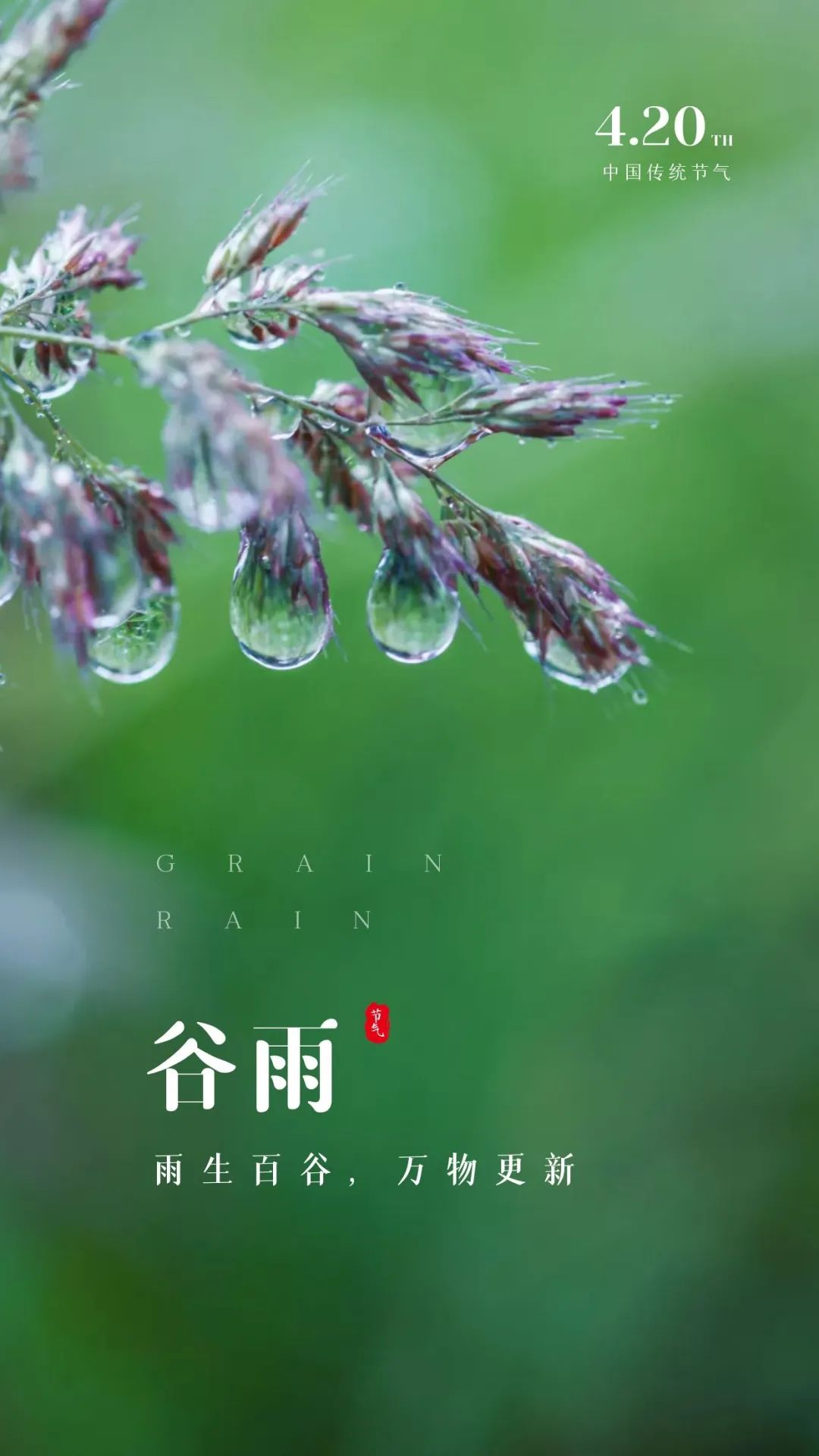 谷雨图片配图高清唯美带字，谷雨朋友圈文案祝福问候语句子
