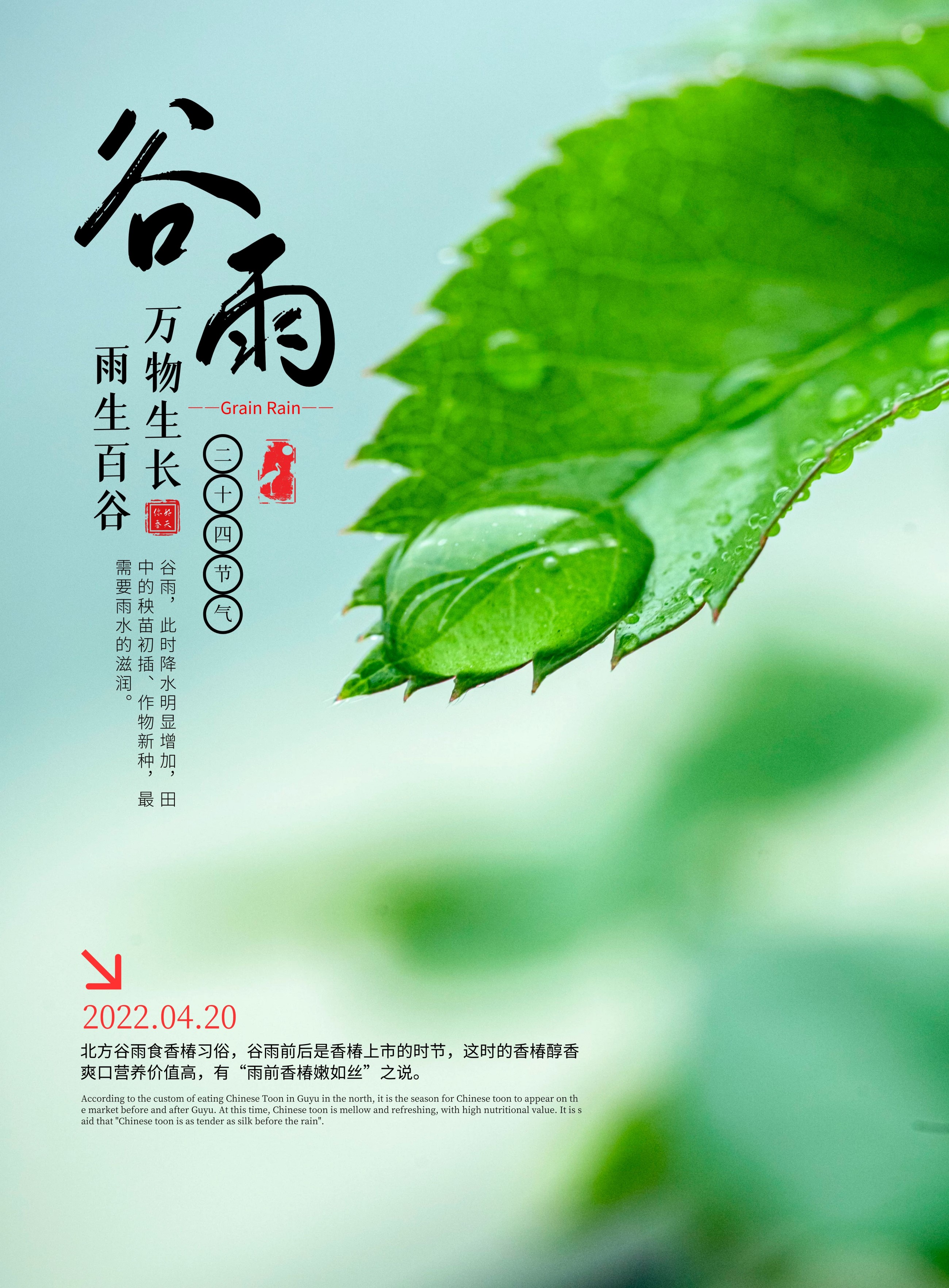 谷雨图片配图高清唯美带字，谷雨朋友圈文案祝福问候语句子