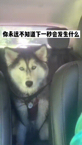 经典有趣动态图:通往天堂的阶梯
