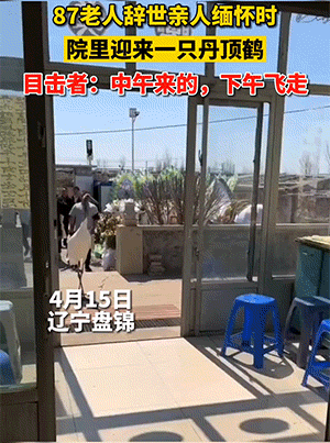 经典有趣动态图:通往天堂的阶梯