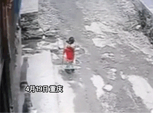 搞笑动态图：猴子狗狗作妖，当心了！
