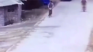 五菱神车之所以称为神车，看看这些动图你就知道了！
