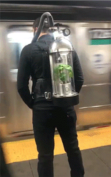 搞笑动图：行为和气质匹配！