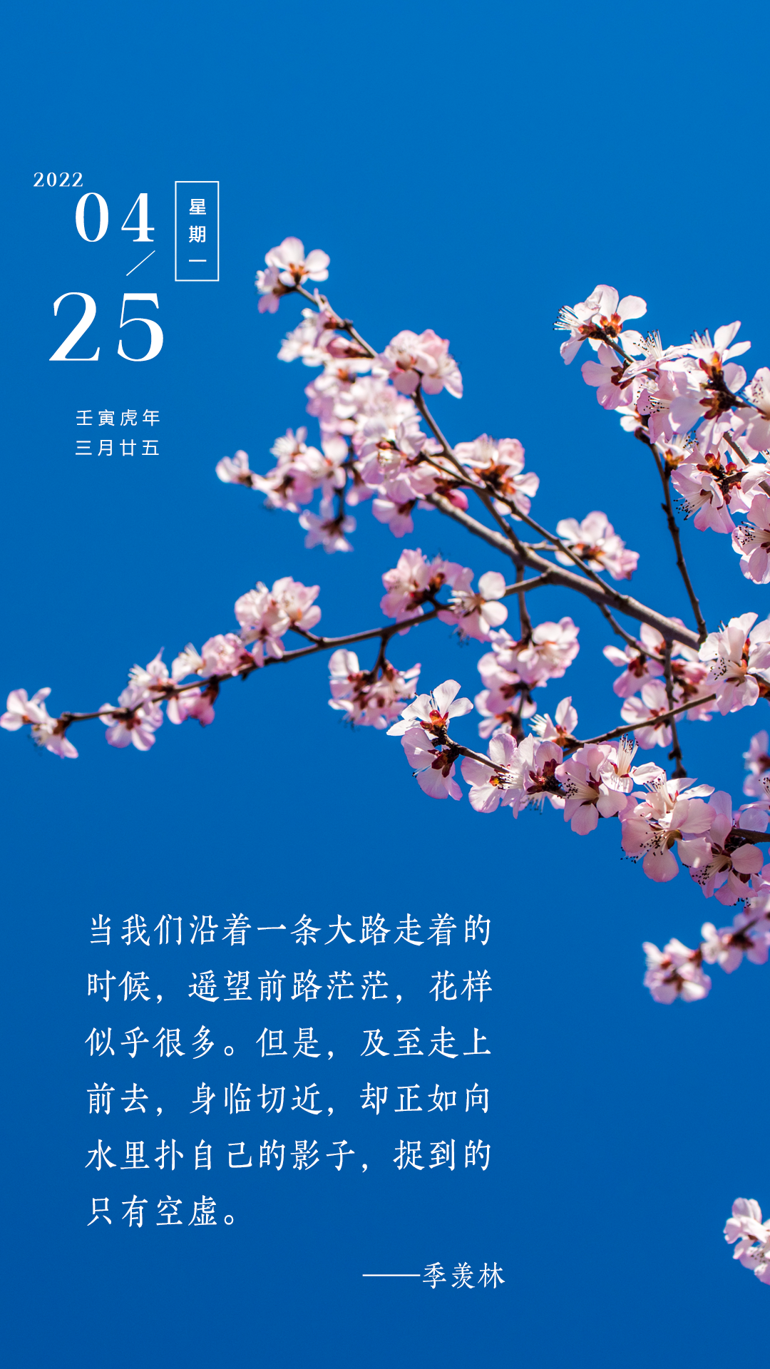 新周正能量早安语录励志图片，行动是成功的开始，等待是失败的源头