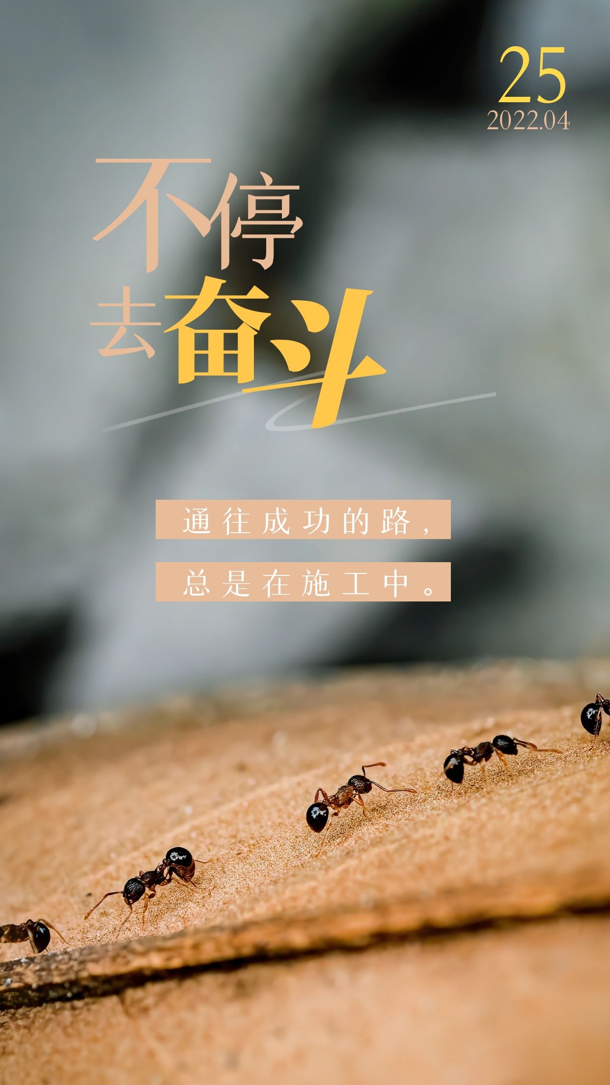 新周正能量早安语录励志图片，行动是成功的开始，等待是失败的源头