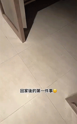 搞笑动图图片：旋转飞马！
