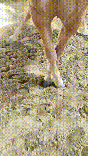搞笑动图图片：旋转飞马！