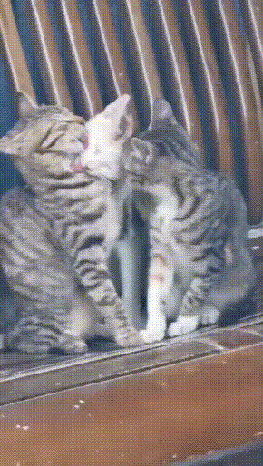 搞笑GIF：这消毒剂量也太大了吧！