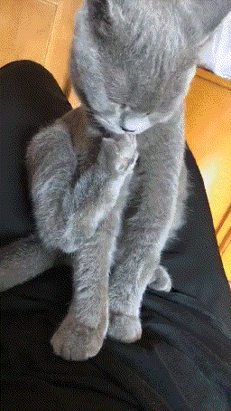 搞笑GIF：这消毒剂量也太大了吧！