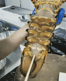 搞笑GIF：这消毒剂量也太大了吧！