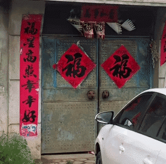 近日GIF精华:硬核大爷耕田,旁边的牛都惊呆了