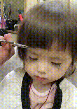 近日GIF精华:硬核大爷耕田,旁边的牛都惊呆了