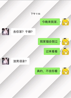 爆笑动图：猫：你知道我为了你俩付出了多少吗？
