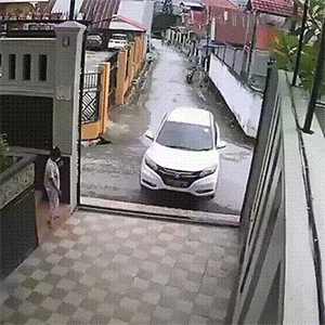 爆笑动图：猫：你知道我为了你俩付出了多少吗？