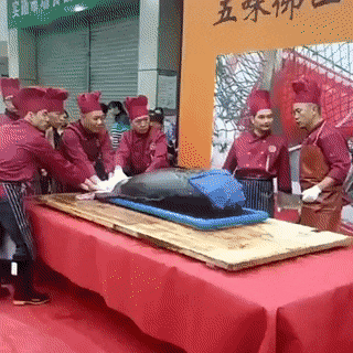 GIF集锦：外国男女沙雕悲剧瞬间！