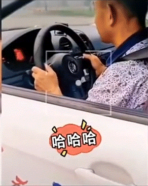 GIF集锦：学驾照的你，考驾照后的你