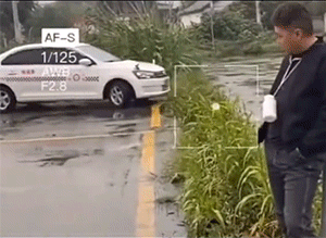 GIF集锦：学驾照的你，考驾照后的你