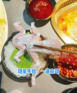 搞笑的动图：艺术可以冷门，但不可以邪门