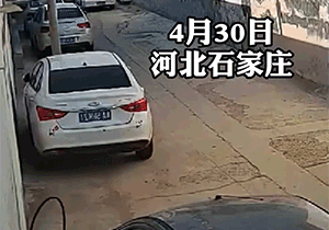 爆笑动图图片:速度有多快?