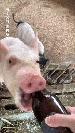 搞笑动图图片：让你做核酸，不是扔标枪