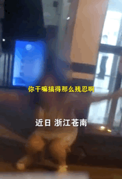 搞笑动图：怕是真的有人会用