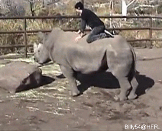 动图大全：外国沙雕GIF上新了！