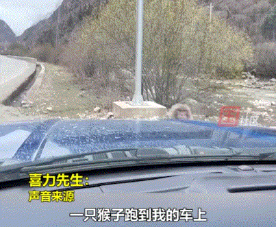 GIF图片：我只想说：卧槽